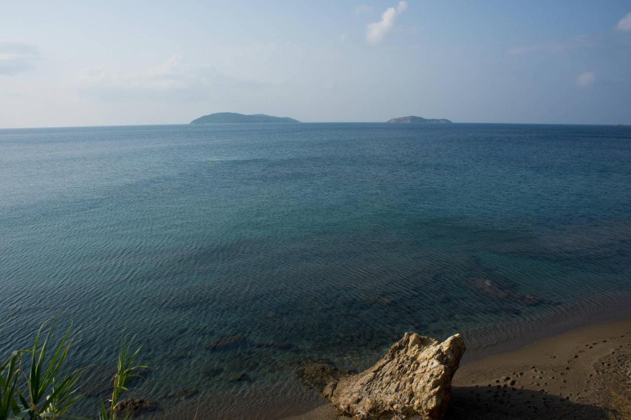 Aphrodite Skiathos Daire Megali Ammos  Dış mekan fotoğraf